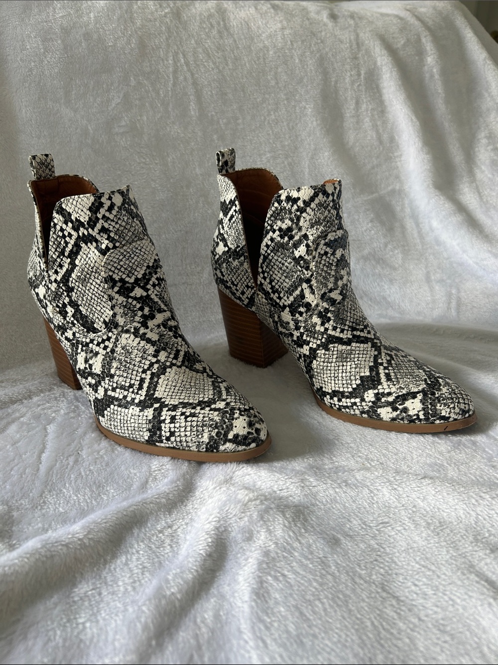 Unk Snake-Print Ankle Booties in Black & White with Brown Heel